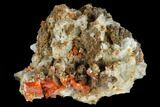 Red-Orange Wulfenite Crystals - Melissa Mine, Arizona #118994-1